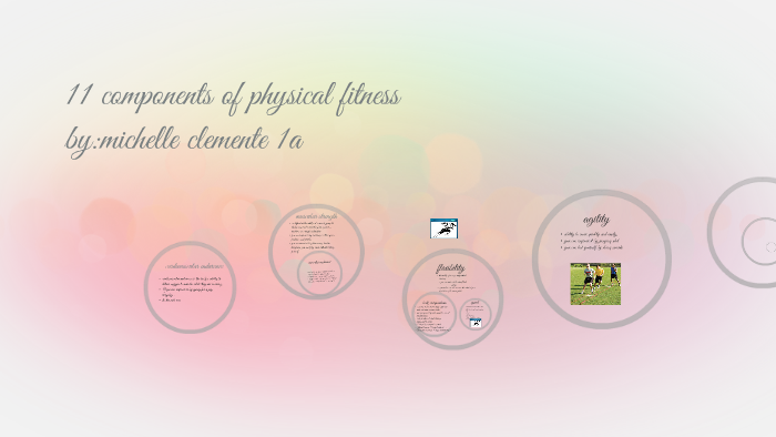 the 11 components of physical fitness