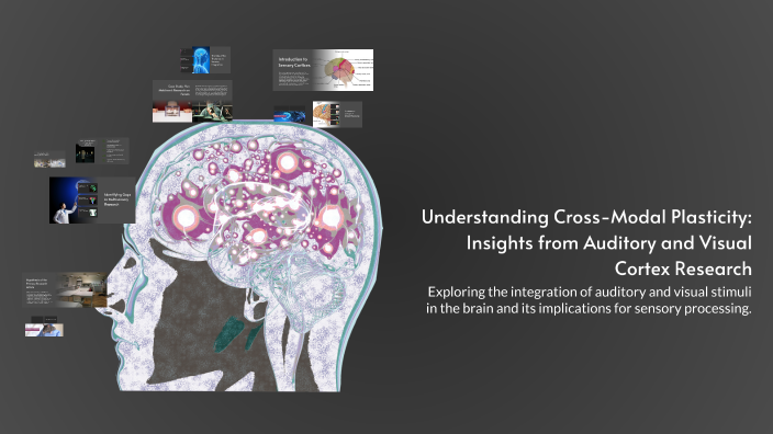 Understanding Cross-Modal Plasticity: Insights from Auditory and Visual ...