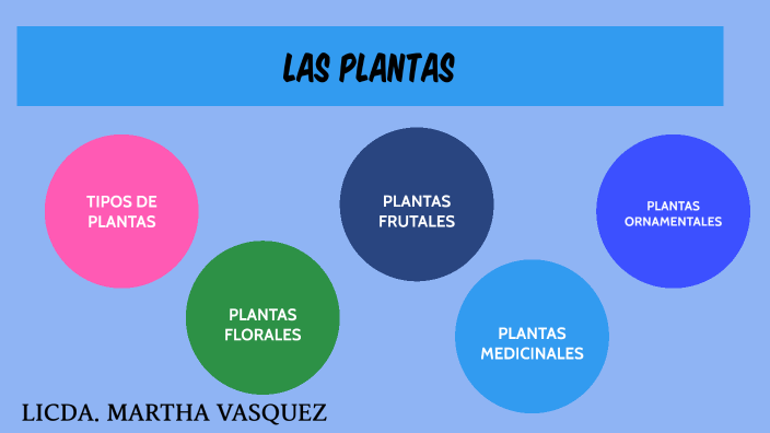 TIPOS DE PLANTAS by martha vasquez on Prezi