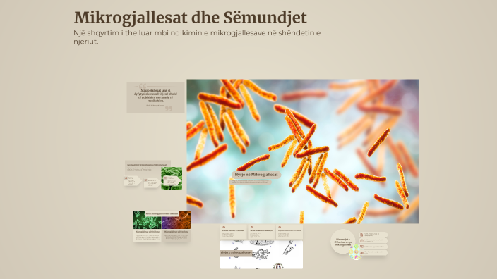 Mikrogjallesat Dhe Sëmundjet By Ori Oni On Prezi