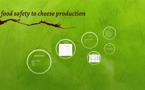 Food Safety To Cheese Production Process By Laura Wientjens On Prezi Next