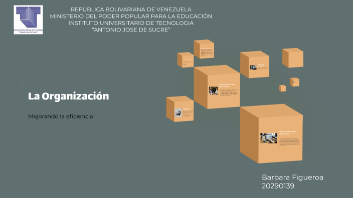 La Organización by on Prezi
