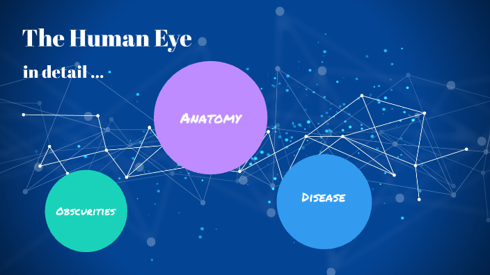 The Human Eye by Ashley Beaubouef on Prezi