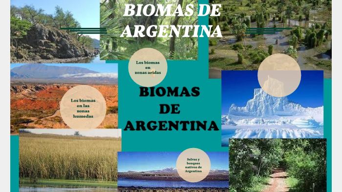 BIOMAS by celina andrade on Prezi