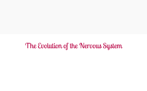 The Evolution of the Nervous System by Connie Yu on Prezi
