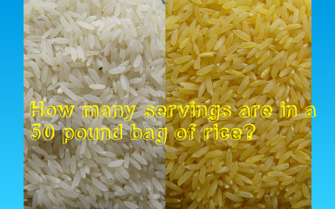 
    HOW MANY SERVINGS ARE IN A 50 POUND BAG OF RICE? by rylee malle
