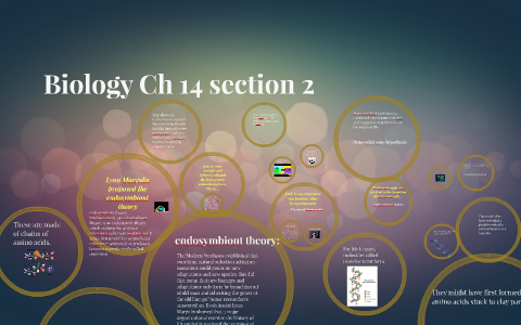 Biology Ch 14 Section 2 By Kitty Crosby On Prezi