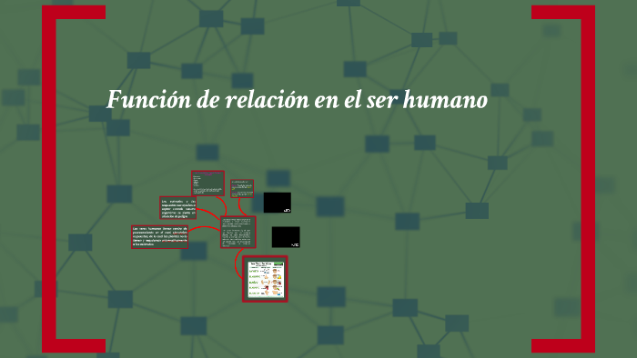 Función De Relación En El Ser Humano By Yaned Diaz 9061