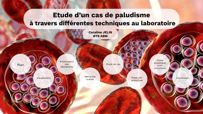 oral bts abm coraline by coraline jelin on Prezi