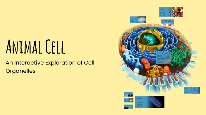 Animal Cell by Radhika Renjith on Prezi