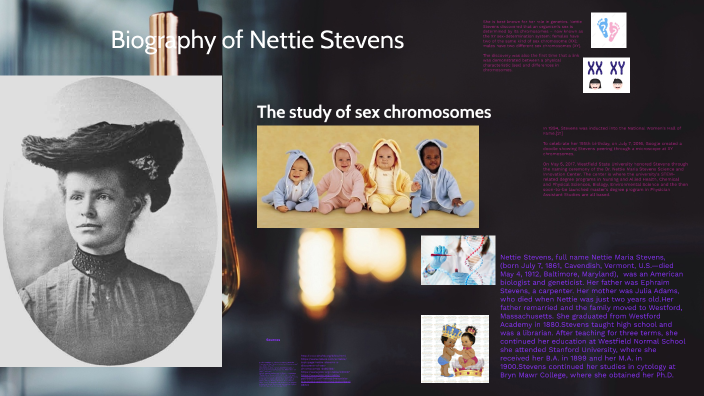 Biography of, Nettie Stevens by eku abban on Prezi Next