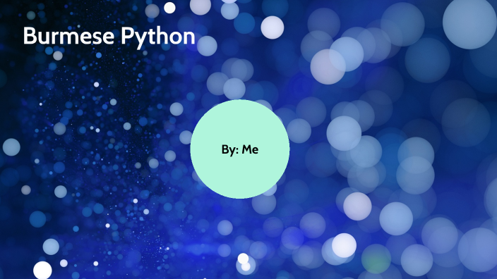 Burmese python by Madison Camara on Prezi