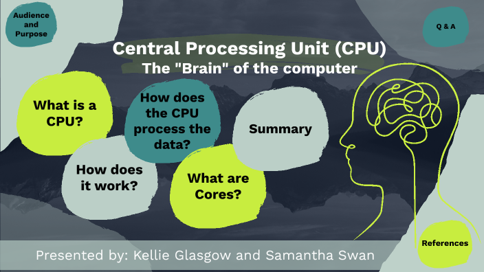 Central Processing Unit Cpu The Brain Of The Computer By Samantha Central Processing Unit Cpu The Brain Of The Computer By Samantha