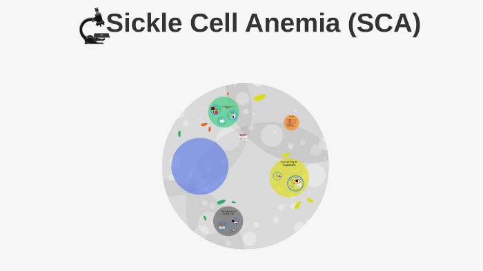 SCA Sickle Cell Anemia by Xavier Brightly on Prezi