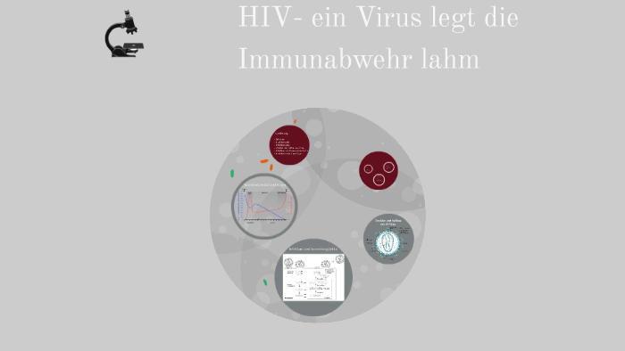 Hiv Ein Virus Legt Die Immunabwehr Lahm By Enya Hage