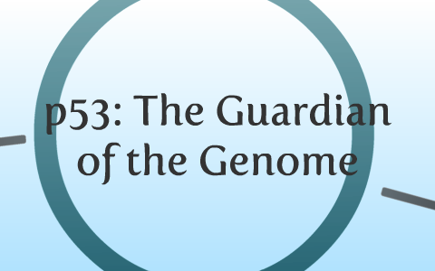 p53: The Guardian of the Genome by Alyssa Klein on Prezi
