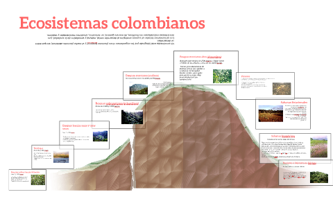 Ecosistemas colombianos by Diana Noguera on Prezi