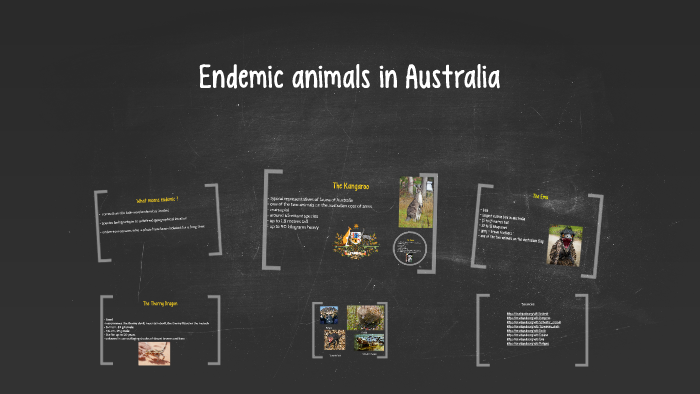 list of animals endemic to australia