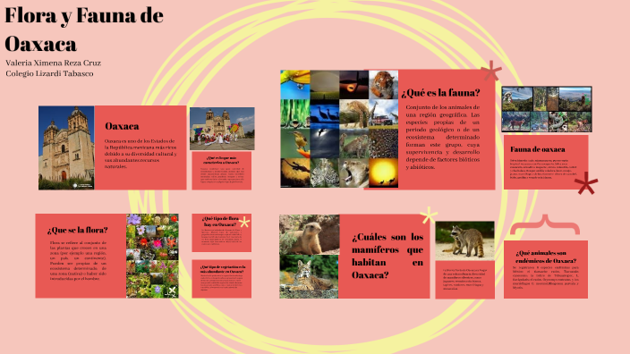 Flora y Fauna de Oaxaca by valeria ximena reza cruz on Prezi