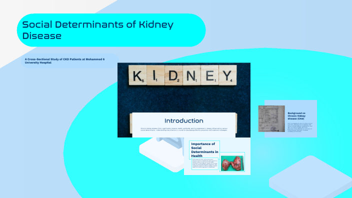 Social Determinants of Kidney Disease by Yousra El hadi on Prezi