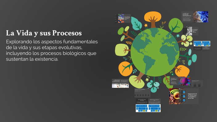 Vida Process La Vida y sus Procesos by FreireEducación ONG on Prezi