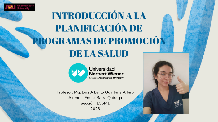 Introducción a la planificación de programas de promoción de la salud