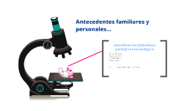 Antecedentes Heredofamiliares Patologicos Y No Patologicos By Karen Rojas