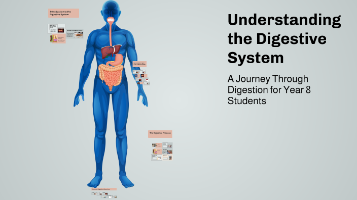 Understanding the Digestive System by Mohamed Hani on Prezi