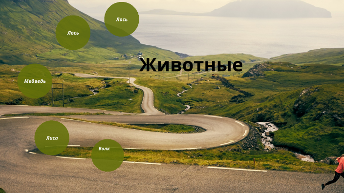 Животные by Надежда Айдаркина on Prezi