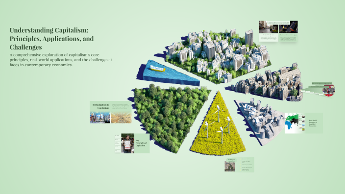 Understanding Capitalism: Principles, Applications, and Challenges by ...