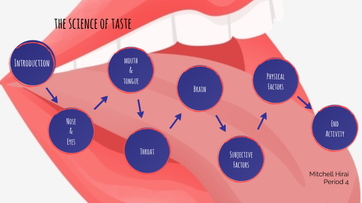 the-science-of-taste-by-mitchell-hirai