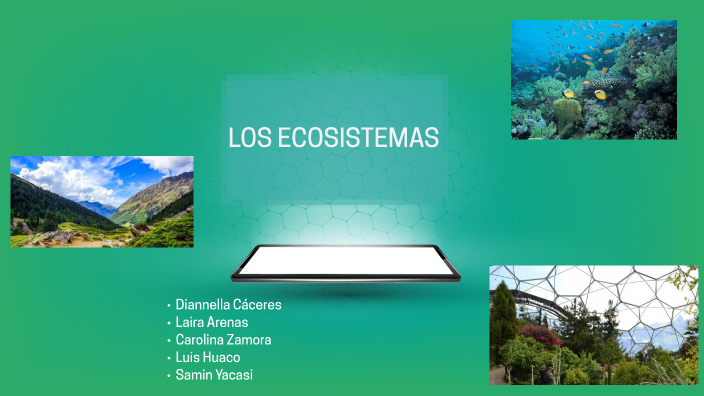 El ecosistema by diannella Cáceres on Prezi