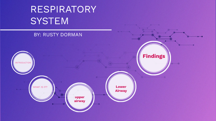 respiratory system by on Prezi