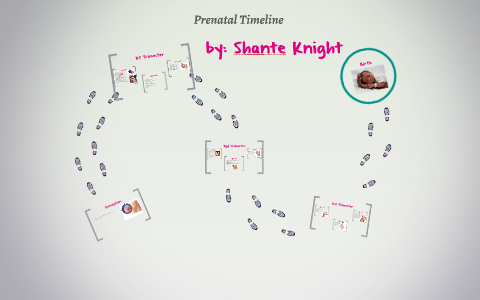 Conception by Shante Knight on Prezi