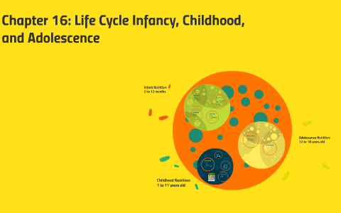 Chapter 16: Life Cycle Infancy, Childhood, And Adolescence By Catherine ...