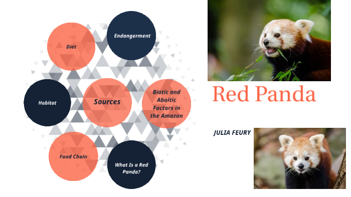 red panda food chain