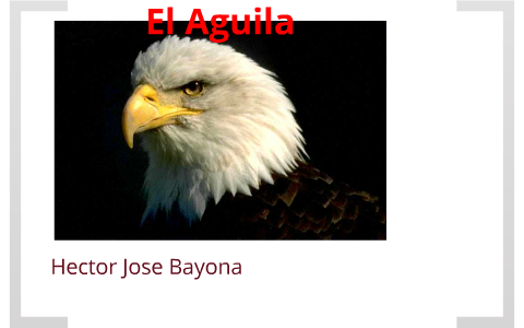 El Aguila by Hector Bayona on Prezi Next