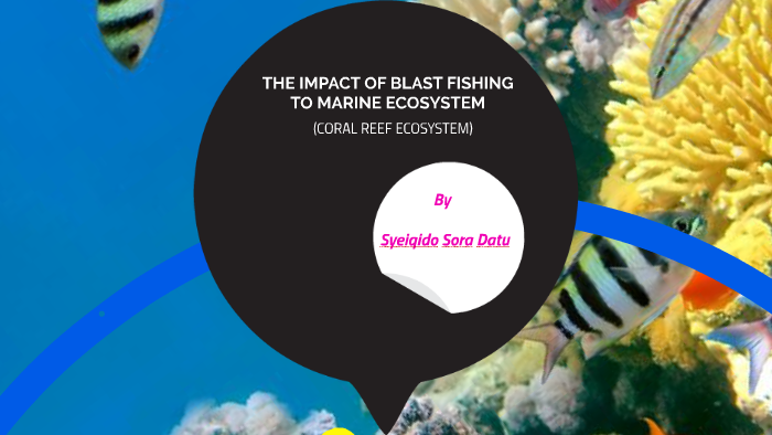 THE IMPACT OF BLAST FISHING TO CORAL REEF ECOSYSTEM by syeiqido sora
