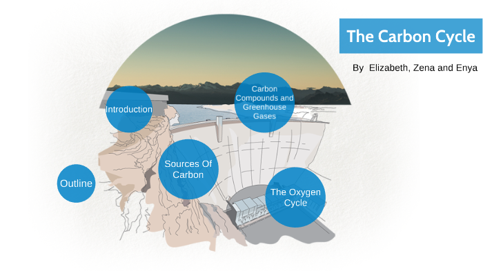 The Carbon Cycle by Elizabeth Li on Prezi