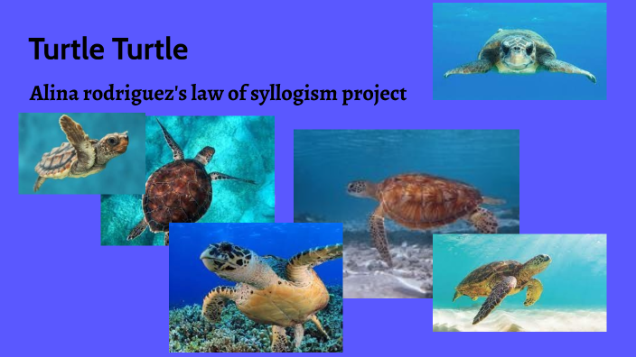 syllogism project by alina rodriguez on Prezi