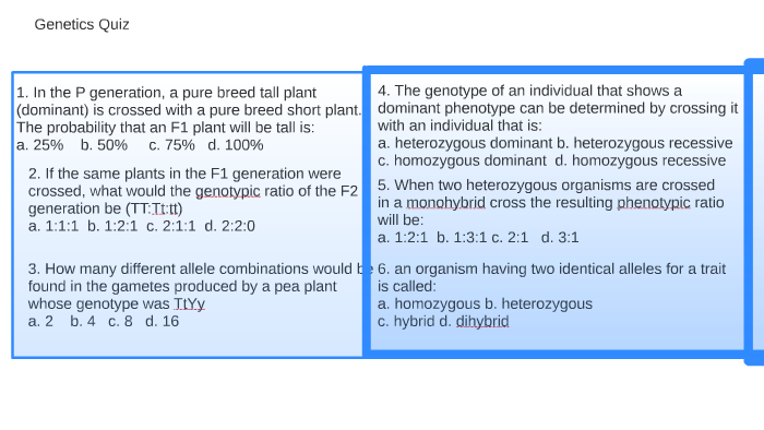 Genetics Quiz By Sam Dixon