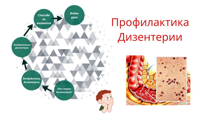 Дизентерия презентация патанатомия