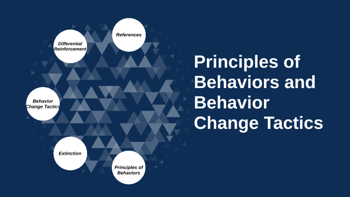 What Are The Principles Of Behavior