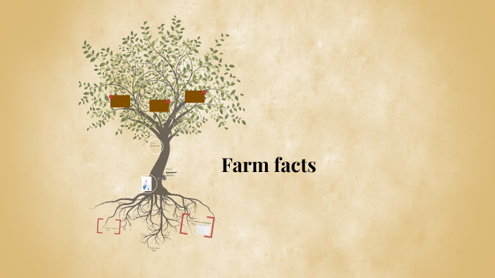 Farm facts by Jenny Antonsson on Prezi