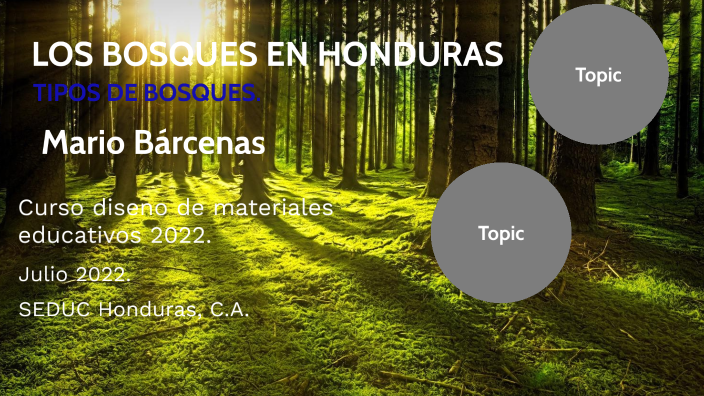 LOS BOSQUES EN HONDURAS by mario barcenas