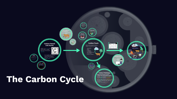 The Carbon Cycle by Brian Miller on Prezi