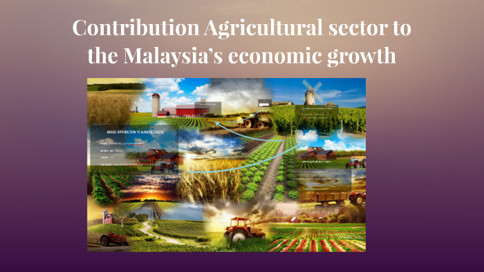 Contribution Agricultural sector to the Malaysia's economic by 