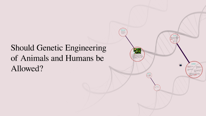 Should Genetic Engineering of Animals and Humans be Allowed? by Karla ...