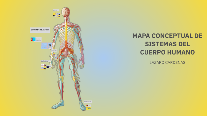 MAPA CONCEPTUAL DE SISTEMAS DEL CUERPO HUMANO by Gisela Camargo on Prezi