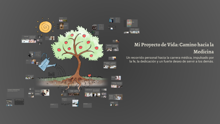 Mi Proyecto de Vida: Camino hacia la Medicina by Maite adriána Choque ...